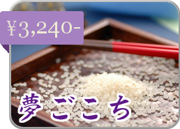 夢ごこち