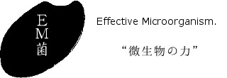 EM菌