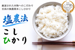 salt-C-001